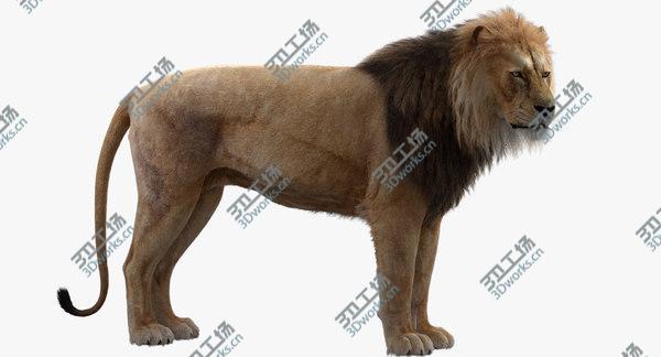 images/goods_img/20210312/3D model Lion Rigged/2.jpg